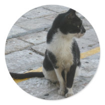 Cat on pavement stickers by Yarijik Cat on pavement stickers