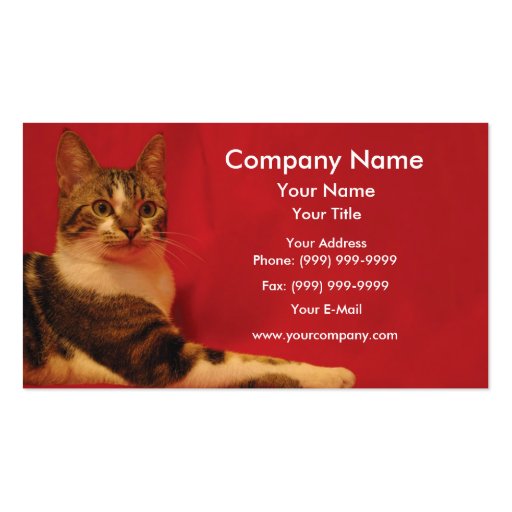 Cat on red background business card
