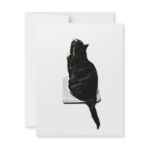 Cat on scales invitations