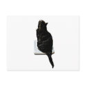 Cat on scales postcards by tirial Cat on scales postcards