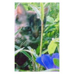 Cat on the Prowl in the Garden Stationery Paper