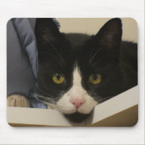 Cat on the shelf mousepad