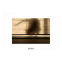 Cat on Windowsill posters by daysrays Cat on Windowsill posters