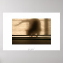 Cat on Windowsill Posters