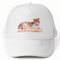Cat Orange & White Hat