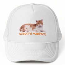 Cat Orange & White Hat by purrfection Cat Orange & White Hat