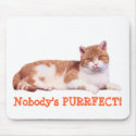 Cat Orange & White Mousepad