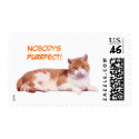 Cat Orange & White Postage Stamp
