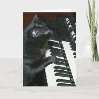 Cat organ recital card