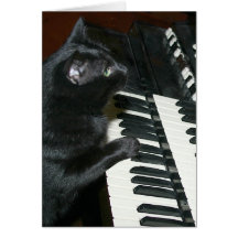 Cat organ recital card