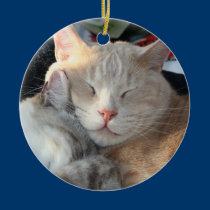 Cat Ornament ornaments