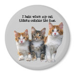 Cat Outside The Box Magnet