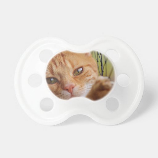 cat pacifier Zazzle