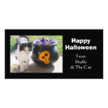 Cat &amp; Pansies Halloween Picture Card