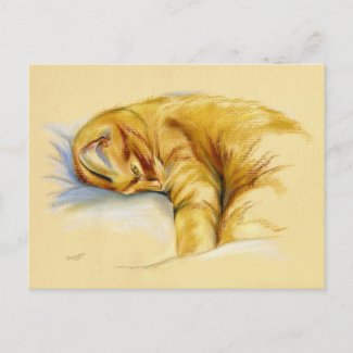 Cat Pastel - Orange Tabby Relaxed Pose Postcard