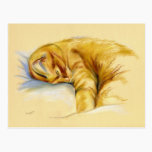 Cat Pastel - Orange Tabby Relaxed Pose postcards