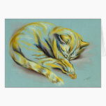 Cat Pastel - Sleeping Tabby Kitten cards