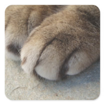 Cat Paw Stickers