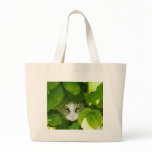 cat peeking from plants bag