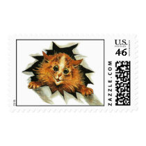 Cat Peeking Postage Stamps