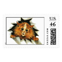 Cat Peeking Stamp