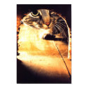 Cat Peering Into Mouse Hole posters