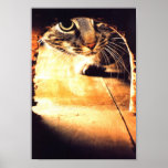 Cat Peering Into Mouse Hole Print