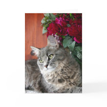 Cat & Peonies Notecard