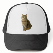 Cat Pet lover animal special friend kitten hats by GeorgeBrulin Cat Pet lover animal special friend kitten hats