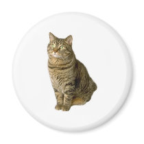 Cat Pet lover animal special friend kitten magnets by GeorgeBrulin Cat Pet lover animal special friend kitten magnets