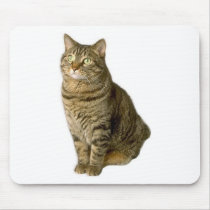 Cat Pet lover animal special friend kitten mousepads by GeorgeBrulin Cat Pet lover animal special friend kitten mousepads