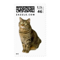 Cat Pet lover animal special friend kitten postage by GeorgeBrulin Cat Pet lover animal special friend kitten postage