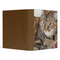 cat photo binders