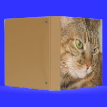 cat photo binders