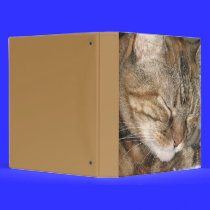 cat photo binders