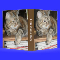 cat photo binders