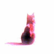 Cat Photo Sculpture
