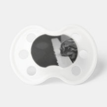 cat piano biting pacifier