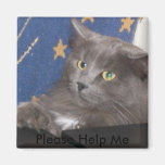 Cat, Please Help Me Magnet