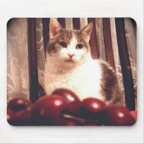 Cat pondering cherries Mousepad by maximus7 Cat pondering cherries Mousepad