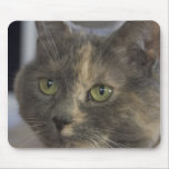 Cat Portrait Mousepad