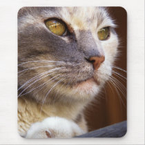 Cat Portrait Mousepad mousepads