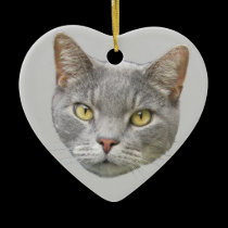 Cat Portrait ornaments