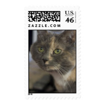 Cat Portrait Postage Stamp by sruhs Cat Portrait Postage Stamp