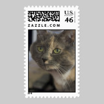 Cat Portrait Postage Stamp stamps