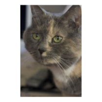 Cat Portrait Print by sruhs Cat Portrait Print