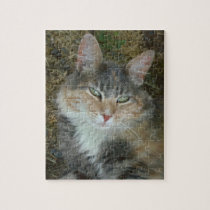 Cat Portrait puzzles