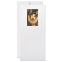 cat portrait rack cards