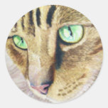Cat Portrait Round Stickers