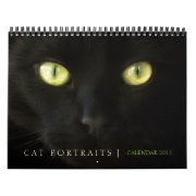 Cat Portraits 2011 Calendar calendar